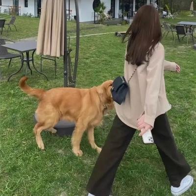 关灯后